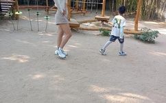 小sb是不是又欠c了若若